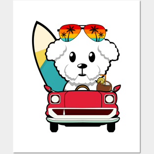 Cute furry dog driving to the beach Posters and Art